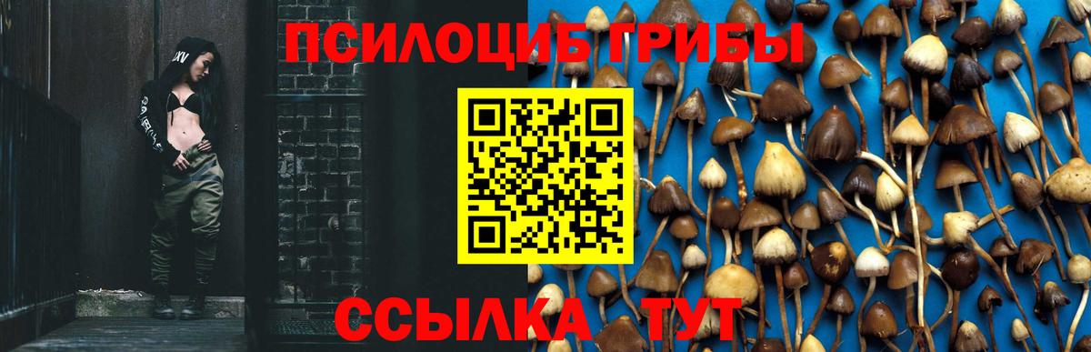 Благовещенск  Псилоцибиновые грибы MAGIC MUSHROOMS  Вход с VPN 